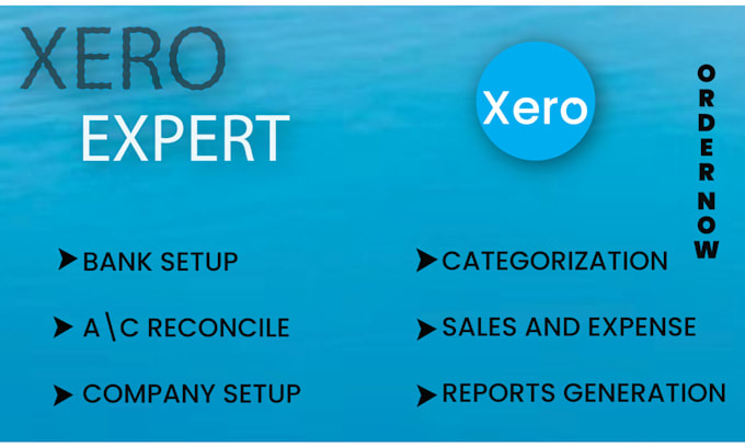 Gig Preview - Do accounting and bookkeeping using xero accounting software