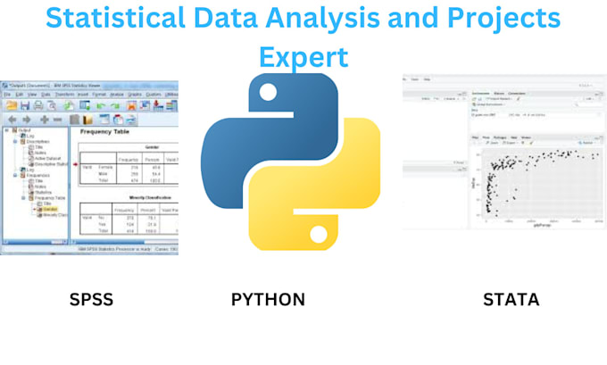 Gig Preview - Do urgent orders using python, r,spss,stata