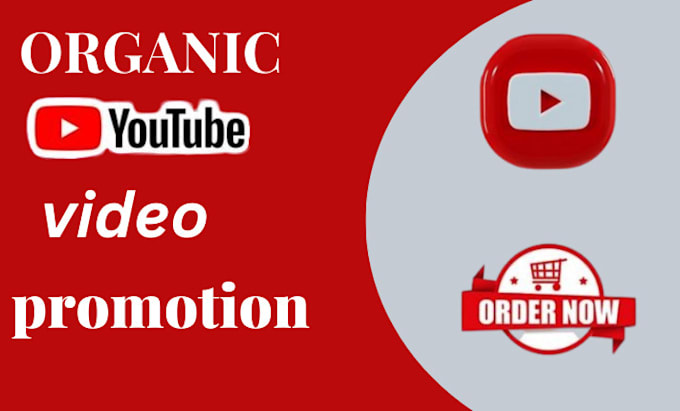 Gig Preview - Do super fast organic youtube video promotion