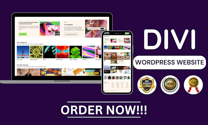 Gig Preview - Design wordpress website, landing page, business website with divi theme builder