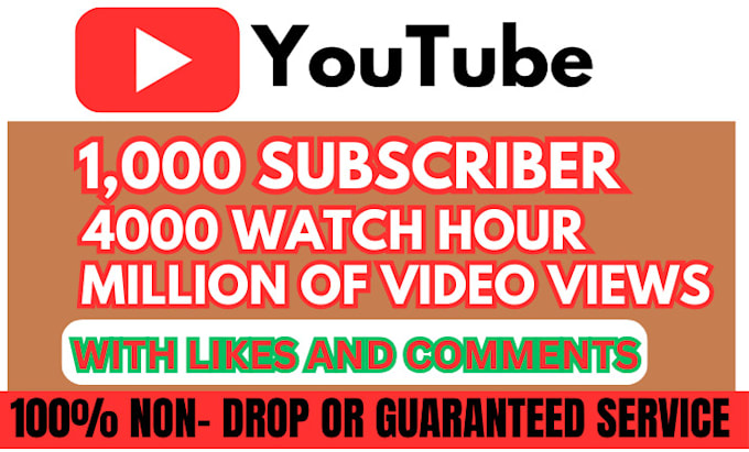 Gig Preview - Do youtube channel promotion, USA subscription, video growth for monetization