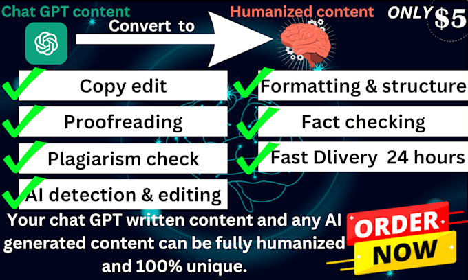 Gig Preview - Humanize your ai content for a more natural flow