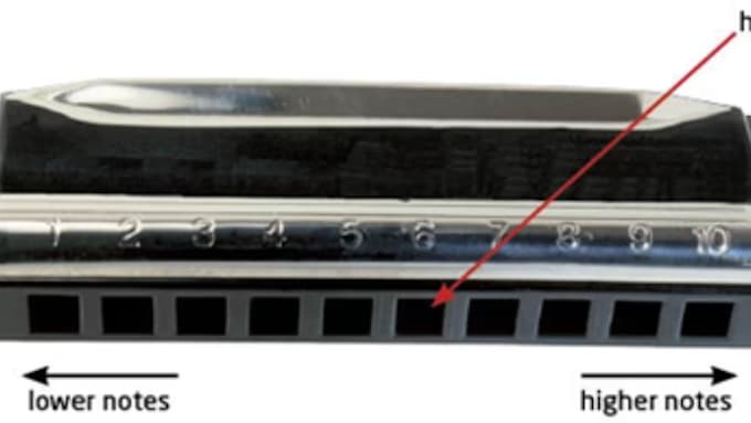 Gig Preview - Record significant misery harmonica harmonica for your song