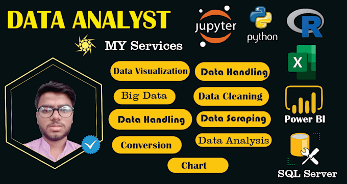 Gig Preview - Do statistical data analysis, cleaning and visualization using r, python,excel