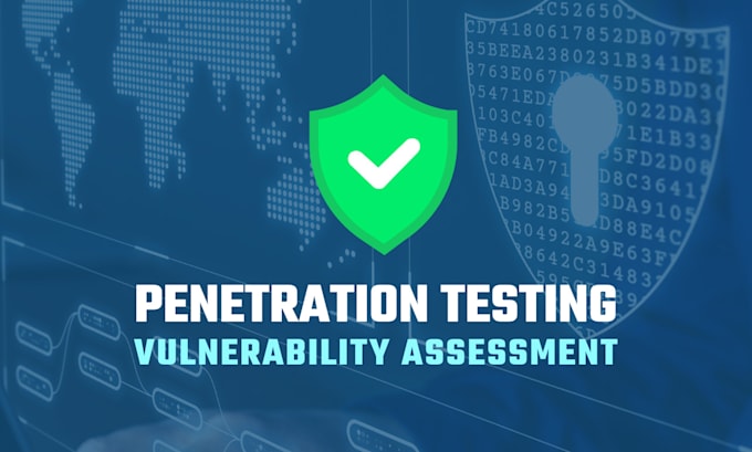 Gig Preview - Do vulnerability assessment and penetration test your website