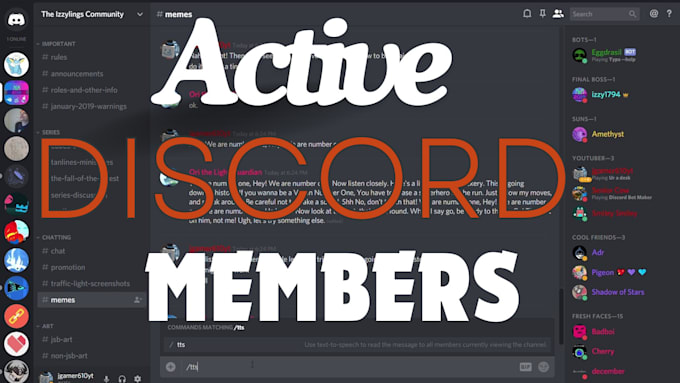 Gig Preview - Professional do discord server promotion discord server growth,