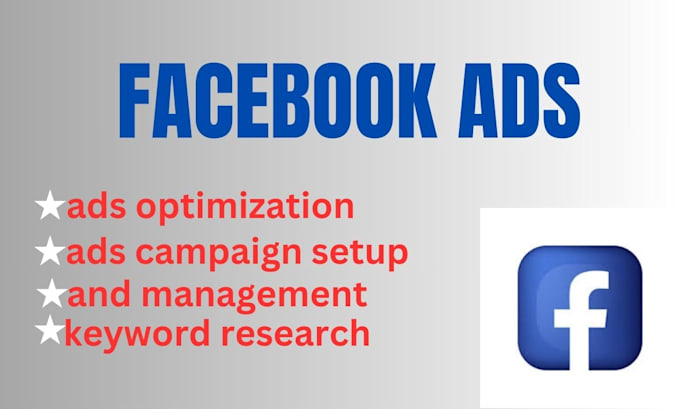 Gig Preview - Setup and manage your facebook ads campaign