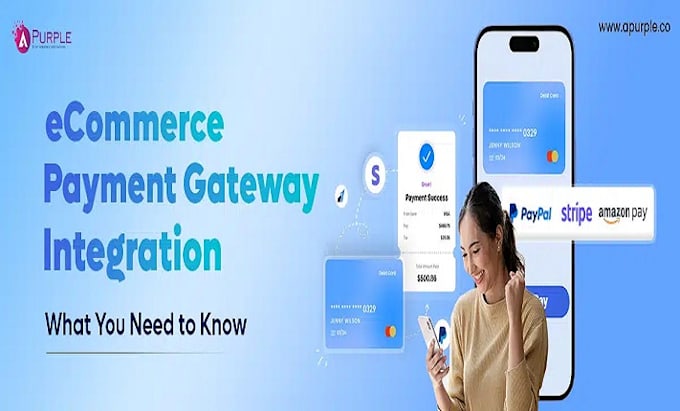 Gig Preview - Create payment geteway payment processor shopify payment high risk payment wise