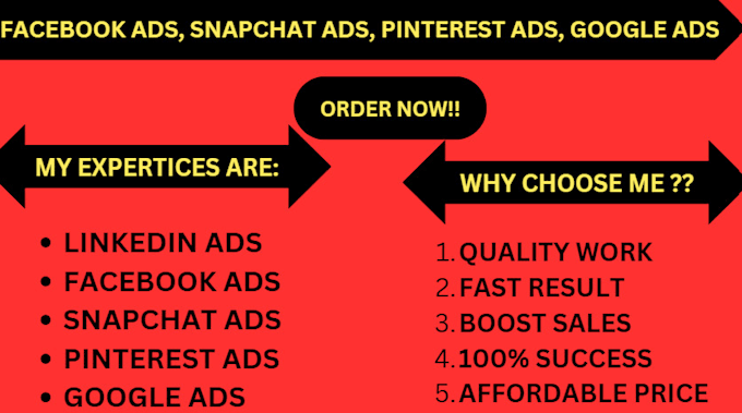 Gig Preview - Run converting facebook ads pinterest ads snapchat ads