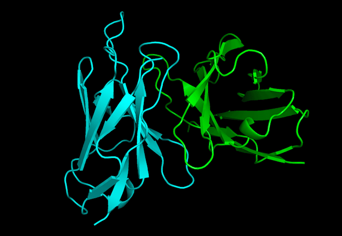 Gig Preview - Do proteins modeling, docking and analysis using alphafold2