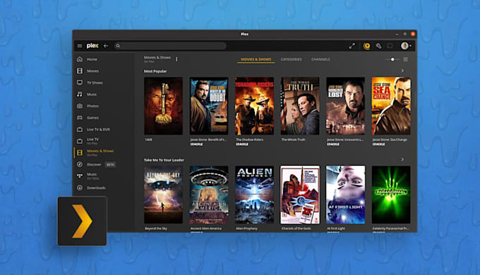 Gig Preview - Install,setup and automate your plex media server with radarr, sonarr and lidarr