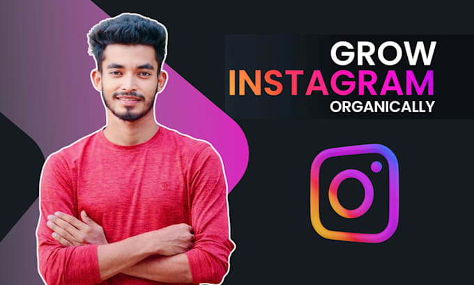 Gig Preview - Do instagram marketing or promotion for organic instagram growth