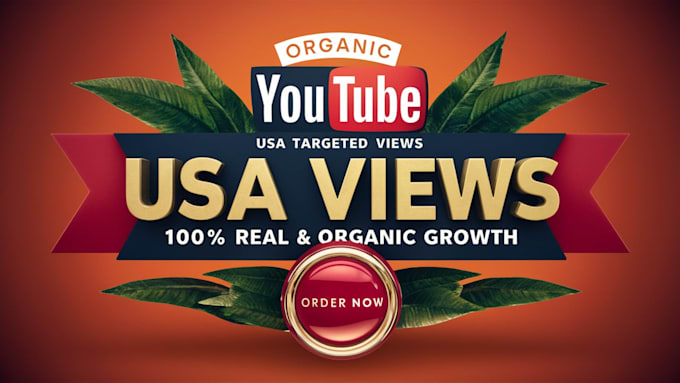 Gig Preview - Do USA youtube promotion usa video promotion to usa targeted audience