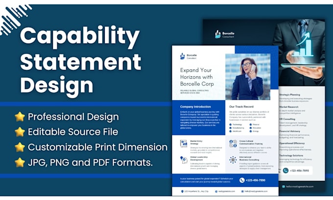 Gig Preview - Design your professional government capability statement