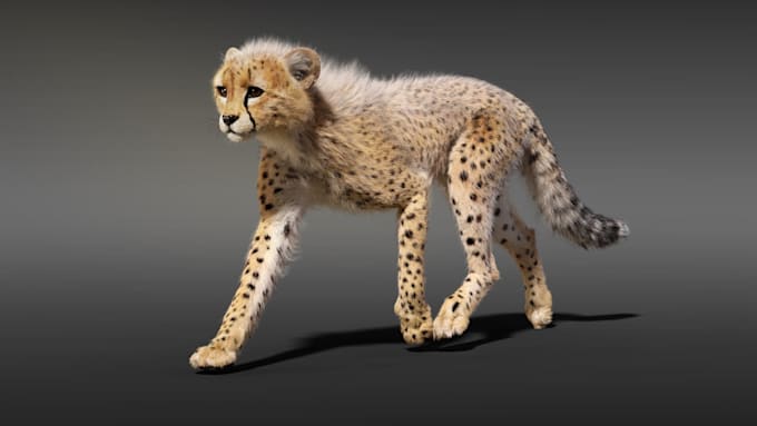 Gig Preview - Create 3d animation, 3d realistic, 3d animal animation