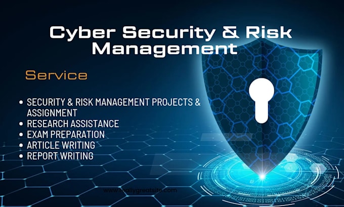 Gig Preview - Help in cyber security and risk management projects