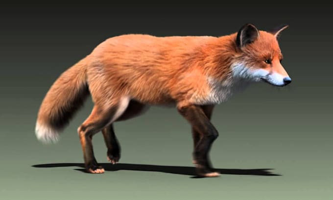 Gig Preview - Do 3d animal model, creatures with realistic fur, xgen hair, texture and rigging