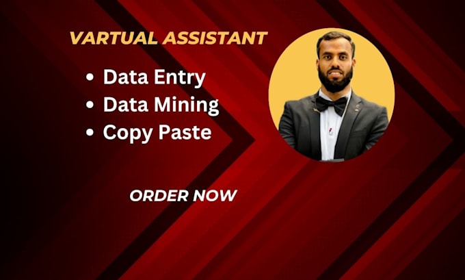 Gig Preview - Do your virtual assistant for data entry , data mining copy paste