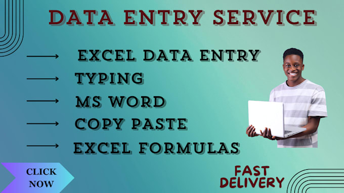 Bestseller - do fast any data entry accurately for you