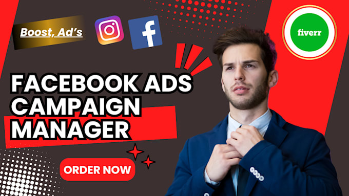 Gig Preview - Be your setup facebook ads campaign manager