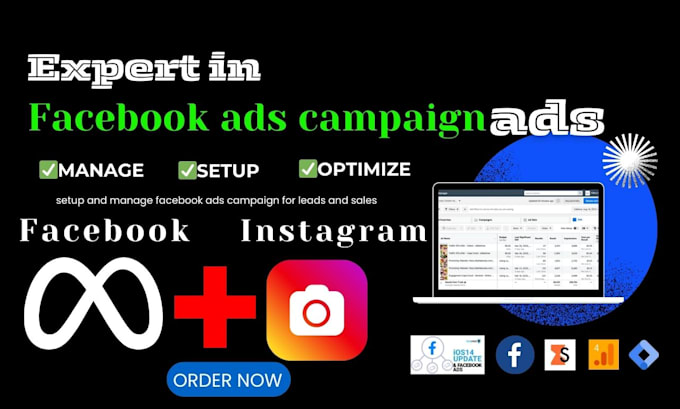 Gig Preview - Setup and manage facebook ads campaign for leads and sales