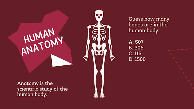 Gig Preview - Assist you in anatomy and physiology