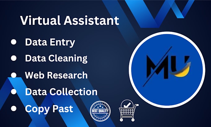 Gig Preview - Be your virtual assistant for web research, copy past, data entry