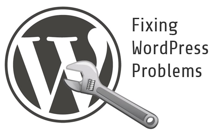 Gig Preview - Develop and fix custom wordpress plugin or woocommerce addons