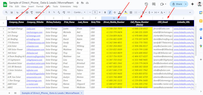 Gig Preview - Direct phone, cellphone, mobile and whatsapp number data enrichment and lead gen