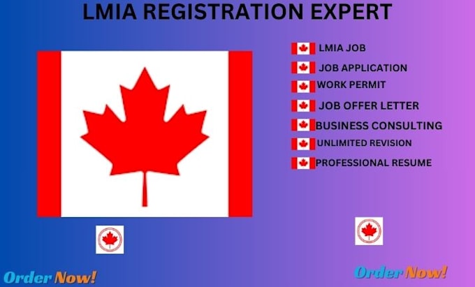 Gig Preview - Lmia canada visa, job research, job offer, work permit, lmia application