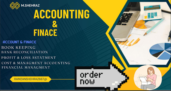 Gig Preview - Do accounting and finance tasks, financial management