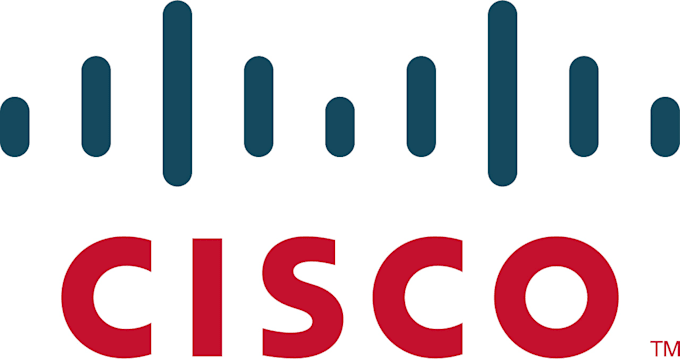 Gig Preview - Design and configure the office networking