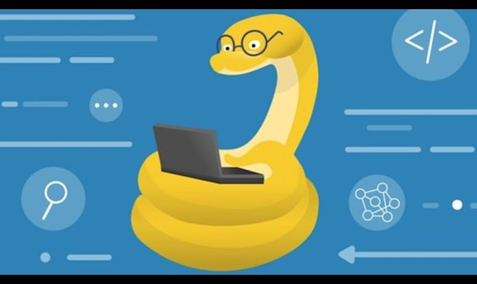 Gig Preview - Develop python projects and python web application