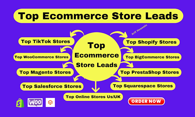 Gig Preview - Provide top hundred ecommerce store leads