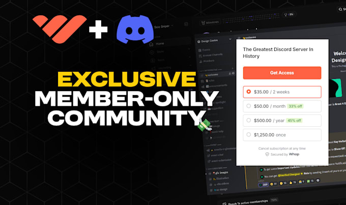 Gig Preview - Setup a business discord server with whop