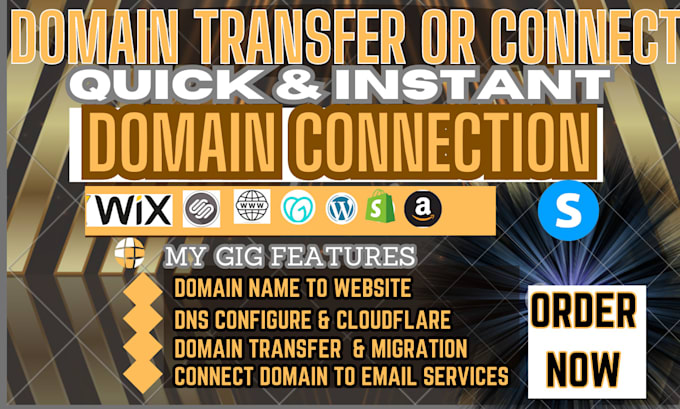 Gig Preview - Dns domain solutions, domain connection, transfer, and setup for business owners