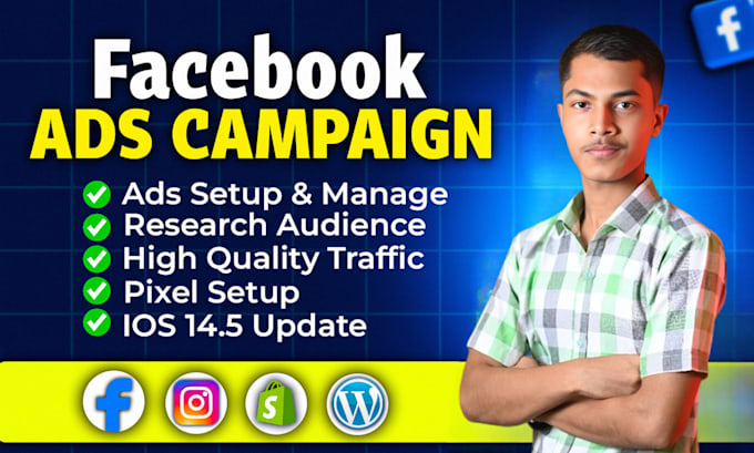 Gig Preview - Setup special facebook ad campaigns for you