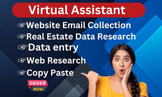 Gig Preview - Ms excel data entry scraping accurately web research service