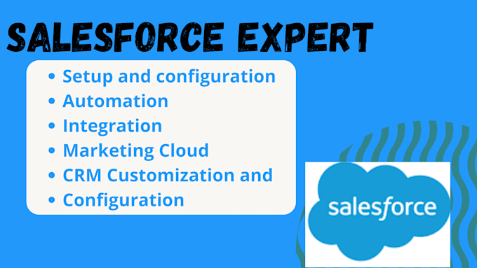 Gig Preview - Set up and automate salesforce CRM with marketing cloud integration