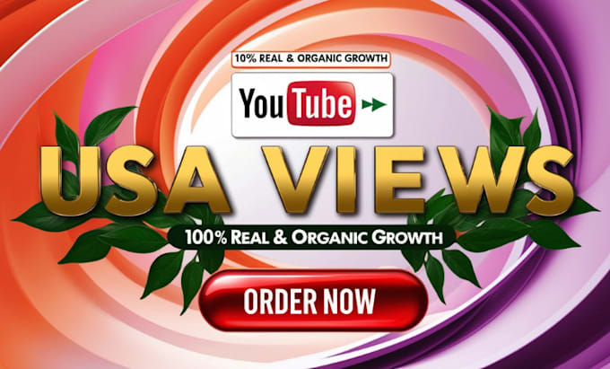 Gig Preview - Do USA youtube promotion usa video and channel promotion to usa targeted viewers