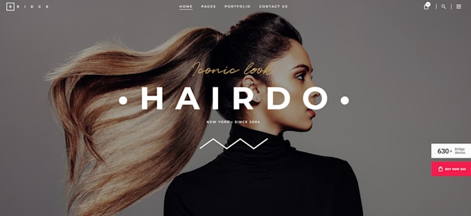 Gig Preview - Do hair salons and hairdressers website