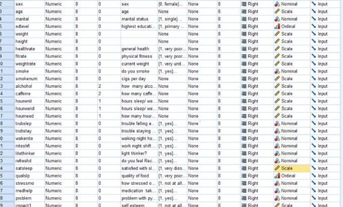 Gig Preview - Do data analysis and visualization in spss nvivo, r, excel, stata maxqda atlasti