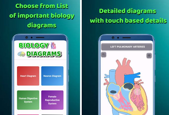 Gig Preview - Create interactive learning experiences using flutter for android