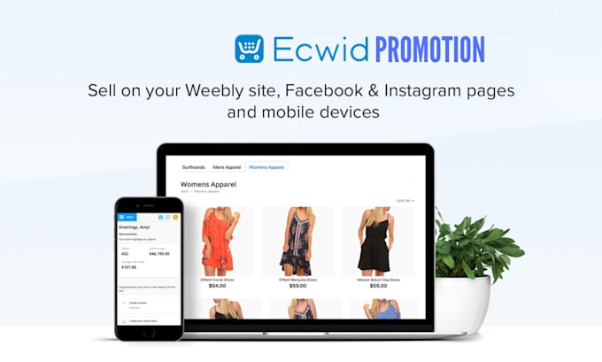 Gig Preview - Do ecwid website promotion ecwid marketing ecwid store seo ecwid product listing