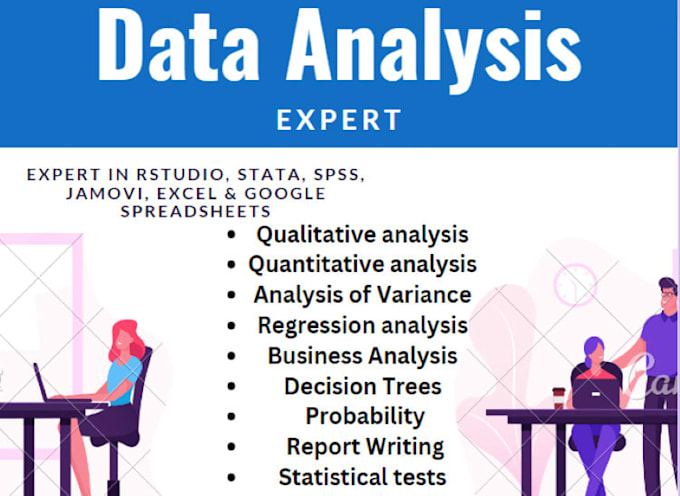 Gig Preview - Do data analysis in spss, r, stata or excel and write report