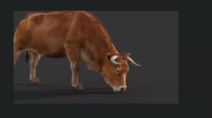 Gig Preview - Render realistic 3d animal model, 3d animal animation, 3d animal rigging