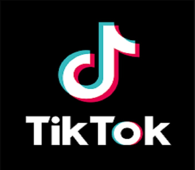 Gig Preview - Create a awesome tiktok dance video to promote your music or brand