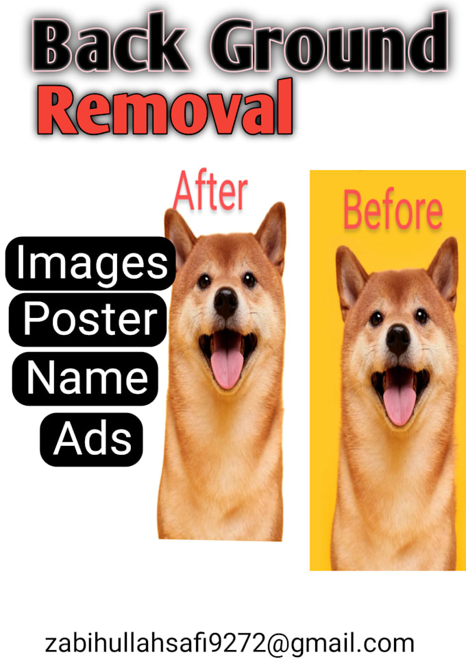 Gig Preview - Do professional image background removing