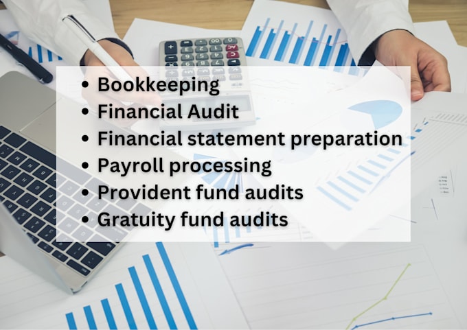 Gig Preview - Audit financial statements and funds