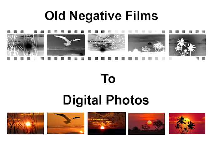 Gig Preview - Convert old negative films to digital photos